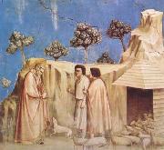 GIOTTO di Bondone Joachim Takes Refuge in the Wilderness (mk08) china oil painting reproduction